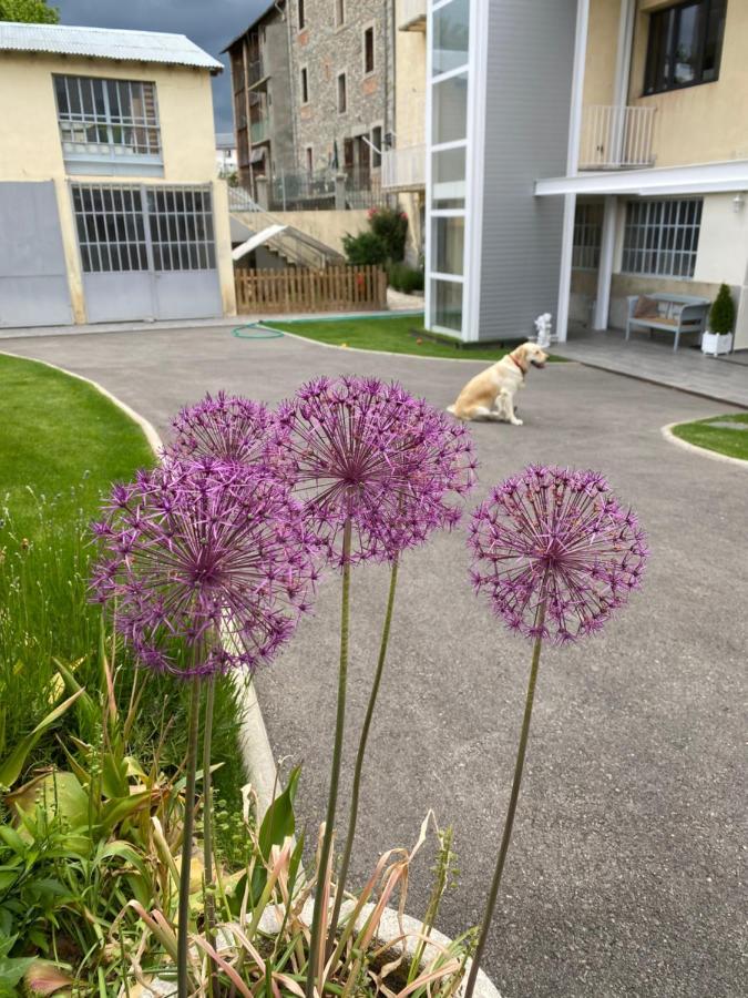 Ferienwohnung Chez Helene 3 Etoiles, Labellise Disabled Pmr,Pour 4 Personnes Chiens Bienvenus-Pet Friendly Bourg-Madame Exterior foto